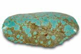 Polished Turquoise Specimen - Number Mine, Carlin, NV #260499-2